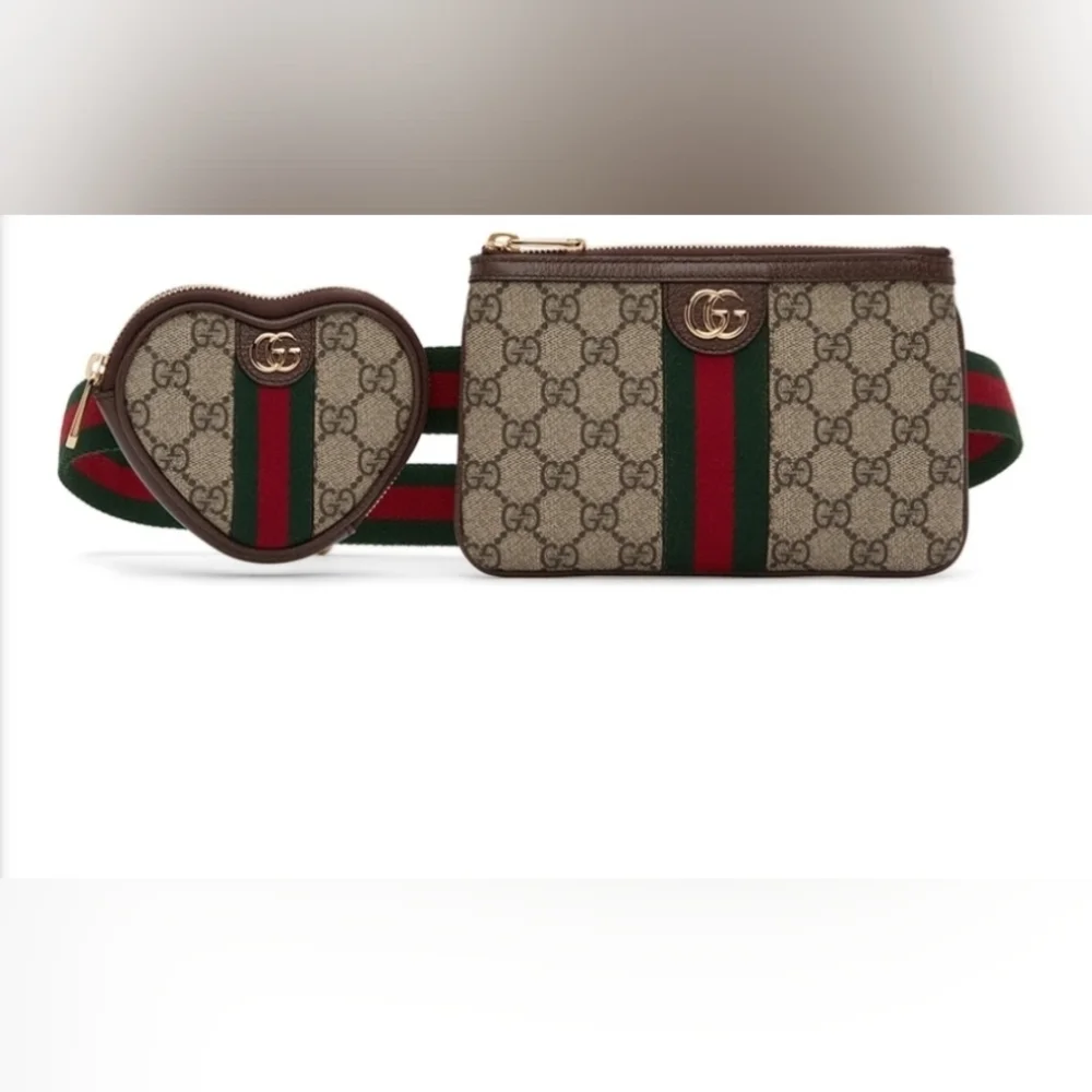 Gucci Beige and Brown Belt Bag Set - Picture 3 of 7
